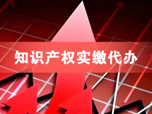 七台河知识产权实缴资本代办